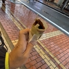 【神奈川グルメ】横浜中華街の中華街大飯店の北京ダック食べ歩き！皮パリ香ばしい絶品グルメ！