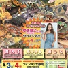  8月3.4日 ジャパンレプタイルズショー in 静岡 夏レプ