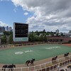 久々に6月開催の札幌競馬場へ行ったことについて