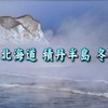 1/30のNHK番組より