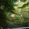 処暑の皿ヶ峰遊山　風の森