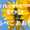 【ハッピーセット】はらぺこあおむし～エリックカールへの思いは継続中～