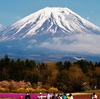 富士山あると世界が変わるよなぁ／山梨県富士芝桜まつりにて