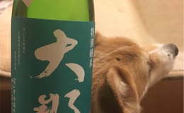 記事を見る