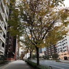 2018年SPG(マリオット）駆け込みプラチナ修行・23滞在目～　〜 大阪都シェラトン近辺ワンコイン朝食 〜