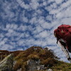 2010三嶺紅葉遊山　天空の珊瑚礁