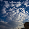 浜ちゃんの散歩道(６８８)　　夜明けの雲に特色があり印象的であった。
