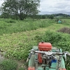 連休最後の日は畑の草刈り！