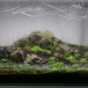 60㎝水槽～レイアウトから植栽、注水まで～