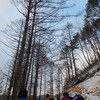 大鼠山（おおねずやま）1584M　岐阜県神岡町