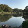 平和な時代に哀話を伝える 自然公園の大池の大蛇伝説（横浜市旭区）