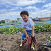 「芋掘り」の記憶から感じる、日本の豊かさと変化について