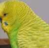 ７月８日の相場を見てみたよ　チュン