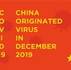 新型コロナウイルス COVID-19 とは？  支那起源のウイルス2019年12月〜  China Originated Virus In December  （20）19