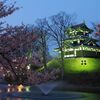 【街ブラ】倭国三大夜桜～新潟の高田城址公園へ