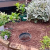 お花の植え付け