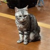 誕生日祝いを頂きました！