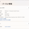Windows 11 Insider Preview Build 25131.1000 リリース