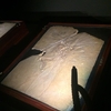 【大英自然史博物館展】始祖鳥の化石