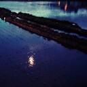 ブログ らむねくり