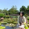 １８きっぷで夏の花紀行🌺　草津市「水生植物園みずの森」へ蓮と睡蓮を愛でにまいりました③園内、完全に汗だく💦で散策中🚶‍♀️