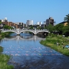 浅の川鯉流し「浅野川大橋」