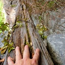 人生崖っぷち（物理）