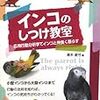 秋ヶ瀬お散歩トレーニング終了しました