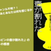 【小説】『ルビンの壺が割れた』のネタバレ無し感想。予測不能な不思議な小説！