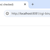 CGI::checkbox(-checked)