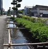 ☆➂南九州 知覧 * お茶と慰霊石燈籠
