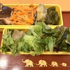 野菜しかない★弁当