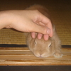 クーちゃん旦那が大好き