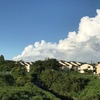 2597 無念の思いの人々　ソ連侵攻７９年目の夏