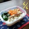 今週のお弁当 2024.6.7