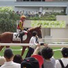 デルニエオール（オリエンタルアート2015）　新馬戦　勝ってくれました。