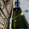 産卵が止まった時の打ち手の例