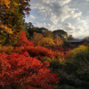 明日を生きる多発性骨髄腫患者の日常220 それぞれの秋と紅葉の風景