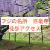 渋滞知らず!関西屈指の九尺フジ名所の白毫寺まで電車＋徒歩で遊びにいってみた【徒歩アクセス・駐車場不要】