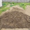 TRY瞑想 977日目