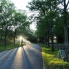 朝陽の差し込む坂道