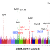 喘息に関わる遺伝子領域
