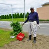 ポーチュラカの植え付け