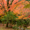 八丁池の紅葉