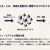 知的探求の道しるべ　その３〜思考の外部化（認知的オフロード）とピアジェの構成主義的学習 ～