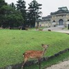 盛りだくさんな奈良歩き 前編