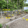 緑化計画