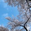 季節を楽しむ、好きなことをする