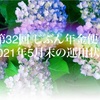 【第32回 じぶん年金便り】2021年5月末の運用状況