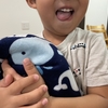 息子のブランケット症候群